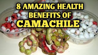 YOU WILL NOT IGNORE THIS FRUIT TREE AFTER YOU WATCH THISHEALTH BENEFITS OF CAMACHILE [upl. by Colville295]