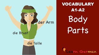 Learn German  German Vocabulary  die Körperteile  Body parts  der Körper  A1 [upl. by Grantley]