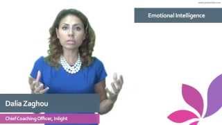 Emotional Intelligence  The Daniel Goleman Model [upl. by Merv]