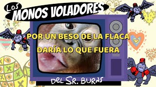 La Flaca  Jarabe de Palo Cover por Los Monos Voladores del Sr Burns [upl. by Licko]