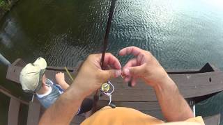 Catching HUGE Bluegills on Lake Minocqua [upl. by Wise538]