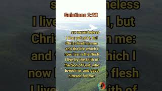 Living by Faith Galatians 220 KJV  Bible Study [upl. by Wiencke]