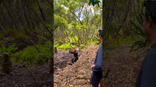 Swinging through the jungle 🌴🦧✨jungle hawaii nature wildlife love vlog vlogs creator god [upl. by Merell]