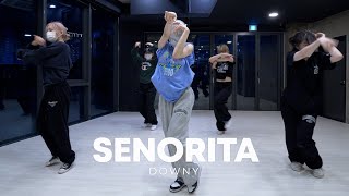 Justin Timberlake  Señorita  Downy Choreography [upl. by Cavallaro]