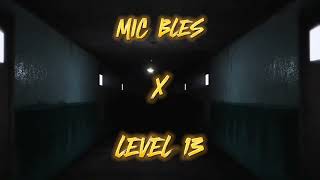 Mic Bles X Level 13  Second Testament Feat WRD Life  Tone Spliff cuts  LYRIC VIDEO [upl. by Hgeilyak]