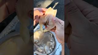 Fresh razor clam meat [upl. by Eadwina847]