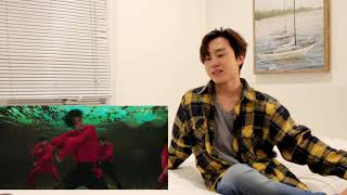 CIX 씨아이엑스  정글 Jungle MV REACTION [upl. by Ellehcram]