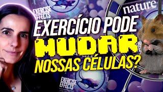 COMO O EXERCÍCIO MEXE COM NOSSO CORPO  Descoberto o poder real da atividade física [upl. by Nwahsel]