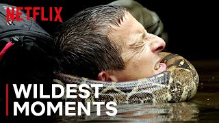 Bear’s WILDest Moments 🤯 Animals on the Loose A You vs Wild Movie  Netflix After School [upl. by Fi]