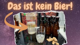 Hausgemachtes Ginger Ale Fermentiert mit einem quotGinger Bugquot [upl. by Masao]