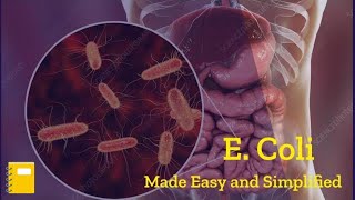 E Coli Bacteria Microbiology  Escherichia Coli  E Coli Disease [upl. by Festatus724]