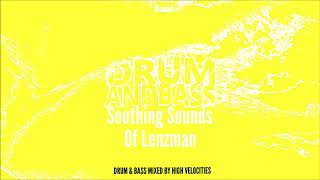 Soothing Sounds Of Lenzman Drum amp Bass DJ Mix [upl. by Thirzia]