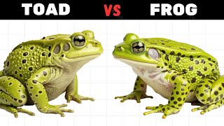 Whats The DIFFERENCE Between a Toad and Frog [upl. by Cassandre]