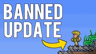 BANNED VERSION OF TERRARIA  PC Leaked Update PreAlpha Gameplay [upl. by Grounds418]