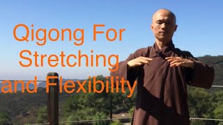 20 Minute Qigong Daily Routine for Stretching and Flexibility [upl. by Thorma435]