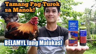 Tamang Pag Turok sa Manok  Right way to Inject Chicken [upl. by Meeki]