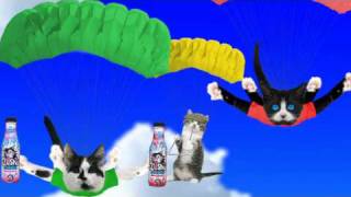 Skydive Kittens  Crusha [upl. by Jemy268]