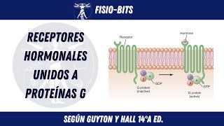 TODO SOBRE LAS PROTEINAS G  FISIOBITS [upl. by Ahsiekan]