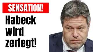 💥AFD Politiker bringen Habeck aus der Fassung💥 [upl. by Eiral481]