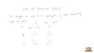 What are equiangular triangles [upl. by Ahsinac]