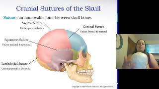 Axial Skeleton [upl. by Emelita]