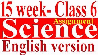 Class 6 Assignment  Science  English version  15 week [upl. by Pratte]