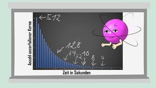 Halbwertszeit alte Version  einfach erklärt [upl. by Neelhtakyram]