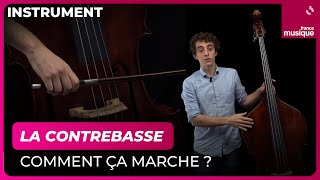 La contrebasse comment ça marche  Lucas Henri  Culture Prime [upl. by Vincelette]