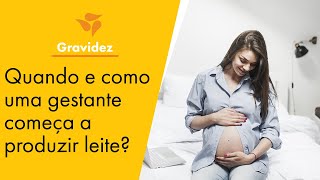 QUANDO E COMO UMA GESTANTE COMEÇA A PRODUZIR LEITE MATERNO👶🏽 🤱🏽 I Medela Brasil [upl. by Aitrop]