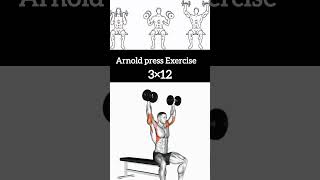 Arnold press exercise  Body building workout shortvideo [upl. by Renita]