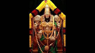 Venkateshwara Suprabhatam  శ్రీ వెంకటేశ్వర సుప్రభాతం 🙏🙏🪔🪔🪔spirituality shortsfeed shorts bhakti [upl. by Enenstein588]