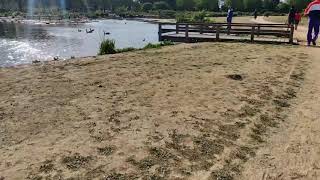 Walk around Jubilee Pond Wanstead Flats London [upl. by Crandale]