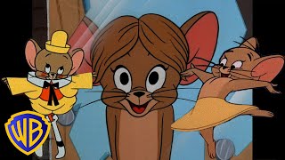 Tom amp Jerry in italiano 🇮🇹  Giornate divertenti con Jerry 🐭🥳  WBKidsItaliano​ [upl. by Naibaf65]