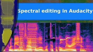 Sound  Precision editing by frequency in Audacity using the spectrograph display [upl. by Oiceladni301]