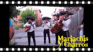 MARIACHIS Y CHARROS CALICANTO EL DIA MAS HERMOSO [upl. by Edea622]