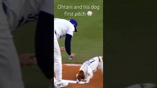 Shohei Ohtani and his dog throw out first pitch together live at the game [upl. by Anailli749]