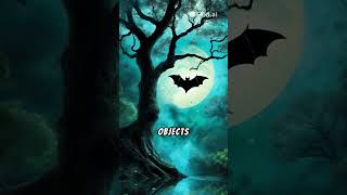 how bats use echolocation to see in the dark natures superpower shorts animals bats echolocation [upl. by Edette]