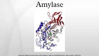 Amylase [upl. by Frasco]