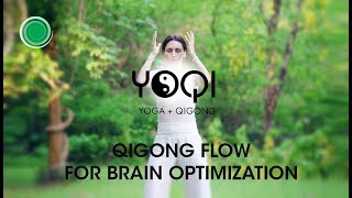 Qigong Flow For Brain Optimization [upl. by Nirda269]