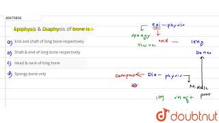 Epiphysis amp Diaphysis of bone is [upl. by Jeffie]