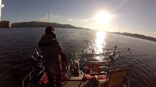 Chinook Fishing on Lake Coeur dAlene 2 [upl. by Yeldar]