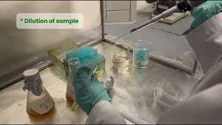 STB 3053 PRACTICAL 1  Batch Ethanol Fermentation by Saccharomyces cerevisiae  PART 3 [upl. by Blayze]