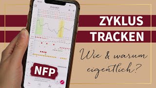 Zyklus tracken mit NFP  Zyklusphasen bestimmen amp dich besser kennen lernen  App myNFP [upl. by Evadnee402]