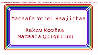 Macaafa Yoel Raajichaa  Macaafa Qulqulluu Sagaleedhan  Kakuu Moofaa  Afaan Oromoo [upl. by Wendin]