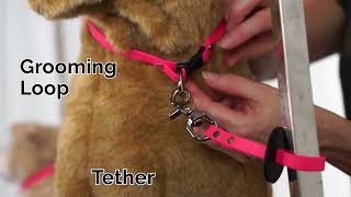 Sparkys Choice Grooming System Overview [upl. by Jerrie]