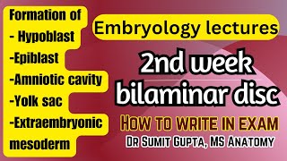 2nd week of development  General Embryology [upl. by Lauhsoj520]