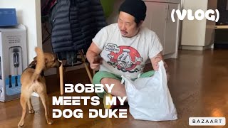 Bobby meets my dog Duke VLOG [upl. by Maclean]