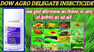 Dow agro delegate insecticideSpinothoram117SCdelegate insecticide price dose work result [upl. by Pooley]