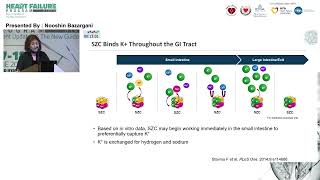 10 Nooshin Bazargani LOKELMA The New Era in Hyperkalemia Management [upl. by Rieth]