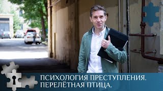 ЦЕПЛЯЯСЬ ЗА ПРОШЛОЕ ВЫ ЛЕШИЛИ СЕБЯ БУДУЩЕГО  ПСИХОЛОГИЯ ПРЕСТУПЛЕНИЯ ПЕРЕЛЁТНАЯ ПТИЦА  ДЕТЕКТИВ [upl. by Annaliese125]